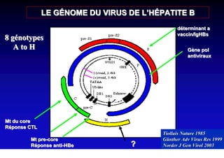 LE GÉNOME DU VIRUS DE L’HÉPATITE B
                                              déterminant a
                                              vaccin/IgHBs
8 génotypes
   A to H                                         Gène pol
                                                  antiviraux




Mt du core
Réponse CTL
                                        Tiollais Nature 1985
        Mt pre-core                     Günther Adv Virus Res 1999
        Réponse anti-HBe         ?      Norder J Gen Virol 2003
 