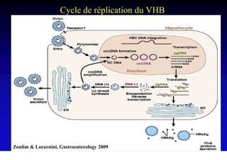 Cycle de réplication du VHB




Zoulim & Locarnini, Gastroenterology 2009
 