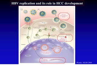 HBV replication and its role in HCC development




                                          Wands, NEJM 2004
 