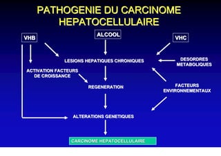 PATHOGENIE DU CARCINOME
         HEPATOCELLULAIRE
                         ALCOOL
VHB                                             VHC



             LESIONS HEPATIQUES CHRONIQUES        DESORDRES
                                                 METABOLIQUES
ACTIVATION FACTEURS
  DE CROISSANCE

                      REGENERATION                FACTEURS
                                             ENVIRONNEMENTAUX




                 ALTERATIONS GENETIQUES




                CARCINOME HEPATOCELLULAIRE
 
