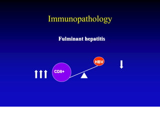 Immunopathology

  Fulminant hepatitis



                HBV

 CD8+
 