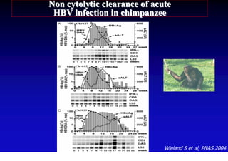 Non cytolytic clearance of acute
 HBV infection in chimpanzee




                              Wieland S et al, PNAS 2004
 