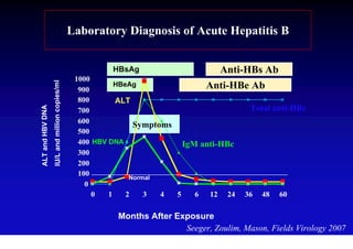 Laboratory Diagnosis of Acute Hepatitis B


                                                        HBsAg                      Anti-HBs Ab
                                                1000
                  IU/L and million copies/ml



                                                 900
                                                           HBeAg                Anti-HBe Ab
                                                 800       ALT
ALT and HBV DNA




                                                 700                                    Total anti-HBc
                                                 600
                                                                Symptoms
                                                 500
                                                 400 HBV DNA               IgM anti-HBc
                                                 300
                                                 200
                                                 100           Normal
                                                   0
                                                     0   1    2    3  4  5    6 12 24 36 48 60

                                                          Months After Exposure
                                                                         Seeger, Zoulim, Mason, Fields Virology 2007
 