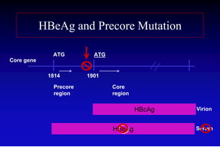 HBeAg and Precore Mutation

              ATG         ATG
Core gene

             1814       1901

              Precore           Core
              region            region


                                         HBcAg   Virion


                                HBeAg            Serum
 