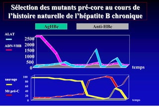 Sélection des mutants pré-core au cours de
 l’histoire naturelle de l’hépatite B chronique
                  AgHBe      Anti-HBe
ALAT
           2500
ADN-VHB    2000
           1500
           1000
            500
             0                             temps
           100
sauvage
            80
            60
Mt pré-C    40
            20
             0                             temps
 