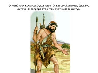 Ο Ησαύ ήταν κοκκινωπός και τριχωτός και μεγαλώνοντας έγινε ένα
δυνατό και τολμηρό αγόρι που αγαπούσε το κυνήγι.
 