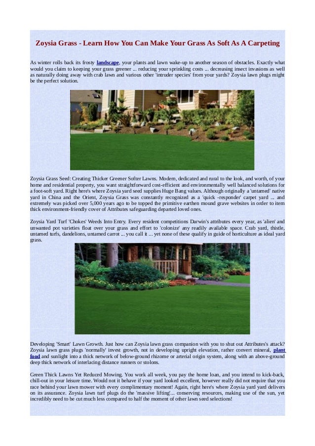 Zoysia grass learn how you can make your grass as soft as a carpeting
