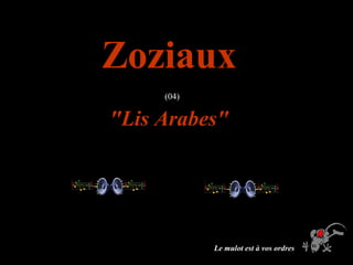 ZoziauxZoziaux
(04)
"Lis Arabes""Lis Arabes"
Le mulot est à vos ordres
 