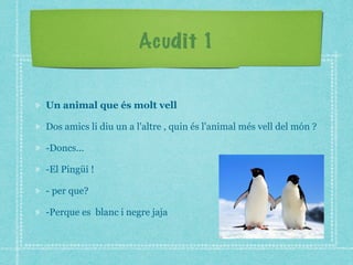 Acudit 1
Un animal que és molt vell
Dos amics li diu un a l'altre , quin és l'animal més vell del món ?
-Doncs...
-El Pingüí !
- per que?
-Perque es blanc i negre jaja
 