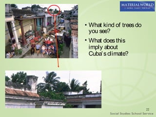 • What kind of trees do
  you see?
• What does this
  imply about
  Cuba’ s climate?




                          22
 