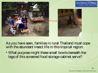 As you have seen, families in rural Thailand must cope
with the abundant insect life in this tropical region.
• What purpose might these small bowls beneath the
  legs of this screened food storage cabinet serve?

                                                         86
 