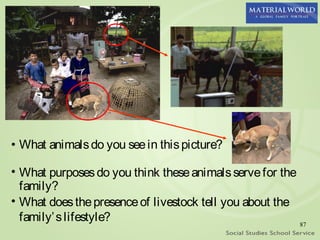 • What animals do you see in this picture?

• What purposes do you think these animals serve for the
  family?
• What does the presence of livestock tell you about the
  family’ s lifestyle?                                   87
 