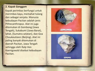 Zaman Paleolitikum Sejarah Indonesia | PPTX