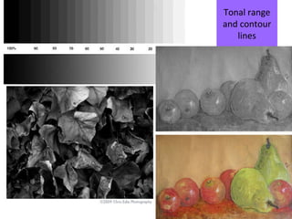 Tonal range
and contour
lines

 