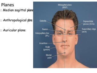Planes
Median sagittal plane
Anthropological p
l
a
n
e
Auricular plane
 