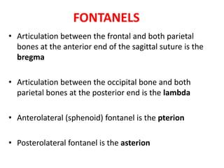 FONTANELS
• Articulation between the frontal and both parietal
bones at the anterior end of the sagittal suture is the
bregma
• Articulation between the occipital bone and both
parietal bones at the posterior end is the lambda
• Anterolateral (sphenoid) fontanel is the pterion
• Posterolateral fontanel is the asterion
 