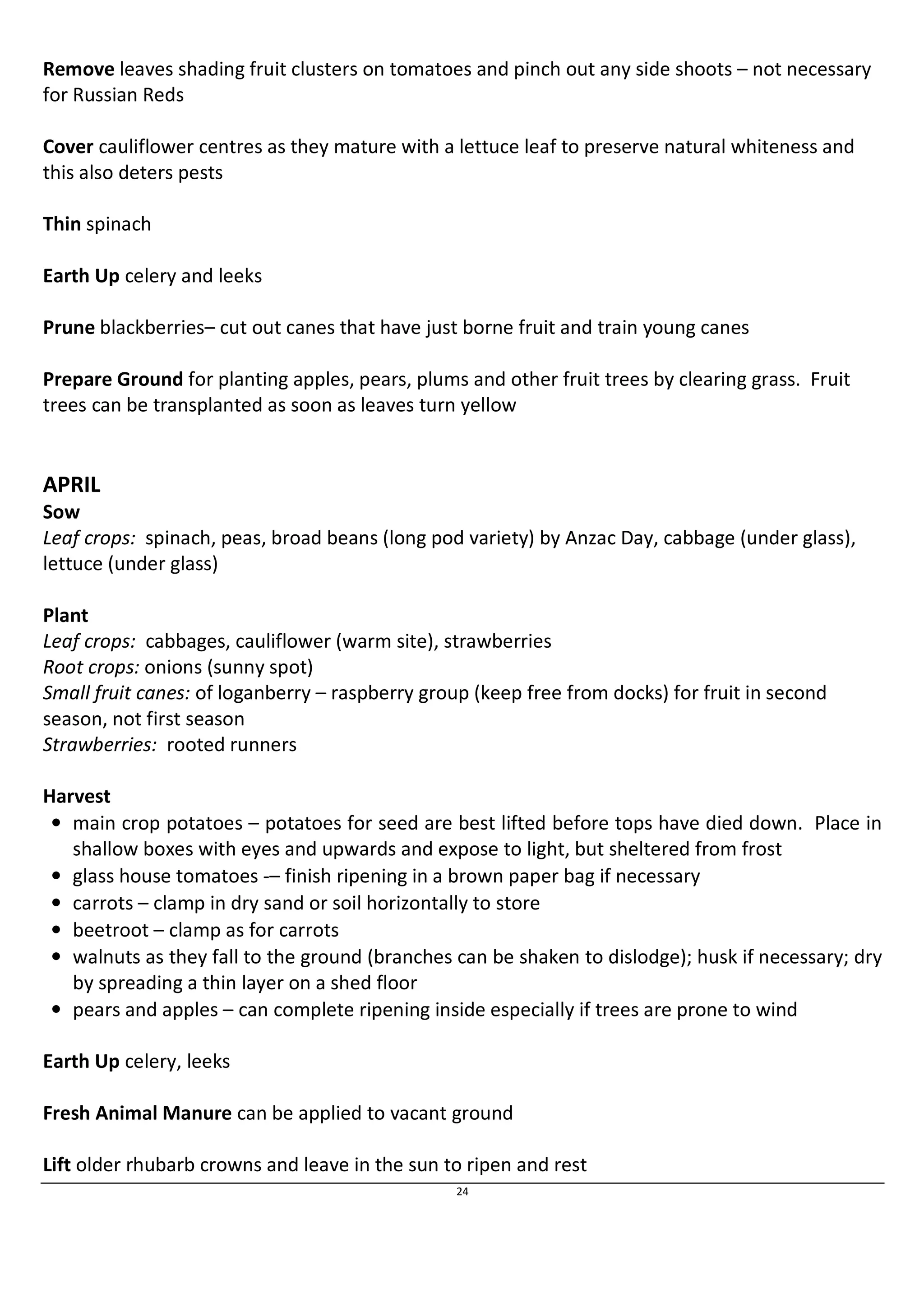 Remove leaves shading fruit clusters on tomatoes and pinch out any side shoots – not necessary 
for Russian Reds 
Cover cauliflower centres as they mature with a lettuce leaf to preserve natural whiteness and 
this also deters pests 
24 
Thin spinach 
Earth Up celery and leeks 
Prune blackberries– cut out canes that have just borne fruit and train young canes 
Prepare Ground for planting apples, pears, plums and other fruit trees by clearing grass. Fruit 
trees can be transplanted as soon as leaves turn yellow 
APRIL 
Sow 
Leaf crops: spinach, peas, broad beans (long pod variety) by Anzac Day, cabbage (under glass), 
lettuce (under glass) 
Plant 
Leaf crops: cabbages, cauliflower (warm site), strawberries 
Root crops: onions (sunny spot) 
Small fruit canes: of loganberry – raspberry group (keep free from docks) for fruit in second 
season, not first season 
Strawberries: rooted runners 
Harvest 
• main crop potatoes – potatoes for seed are best lifted before tops have died down. Place in 
shallow boxes with eyes and upwards and expose to light, but sheltered from frost 
• glass house tomatoes -– finish ripening in a brown paper bag if necessary 
• carrots – clamp in dry sand or soil horizontally to store 
• beetroot – clamp as for carrots 
• walnuts as they fall to the ground (branches can be shaken to dislodge); husk if necessary; dry 
by spreading a thin layer on a shed floor 
• pears and apples – can complete ripening inside especially if trees are prone to wind 
Earth Up celery, leeks 
Fresh Animal Manure can be applied to vacant ground 
Lift older rhubarb crowns and leave in the sun to ripen and rest 
 
