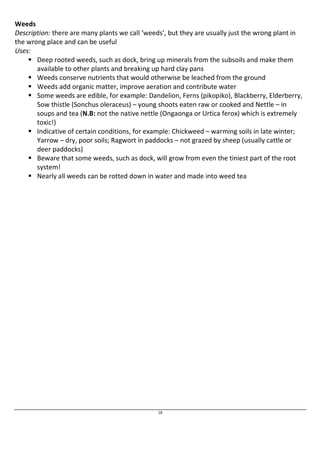 Weeds 
Description: there are many plants we call ‘weeds’, but they are usually just the wrong plant in 
the wrong place and can be useful 
Uses: 
 Deep rooted weeds, such as dock, bring up minerals from the subsoils and make them 
available to other plants and breaking up hard clay pans 
 Weeds conserve nutrients that would otherwise be leached from the ground 
 Weeds add organic matter, improve aeration and contribute water 
 Some weeds are edible, for example: Dandelion, Ferns (pikopiko), Blackberry, Elderberry, 
Sow thistle (Sonchus oleraceus) – young shoots eaten raw or cooked and Nettle – in 
soups and tea (N.B: not the native nettle (Ongaonga or Urtica ferox) which is extremely 
toxic!) 
 Indicative of certain conditions, for example: Chickweed – warming soils in late winter; 
Yarrow – dry, poor soils; Ragwort in paddocks – not grazed by sheep (usually cattle or 
deer paddocks) 
 Beware that some weeds, such as dock, will grow from even the tiniest part of the root 
18 
system! 
 Nearly all weeds can be rotted down in water and made into weed tea 
 