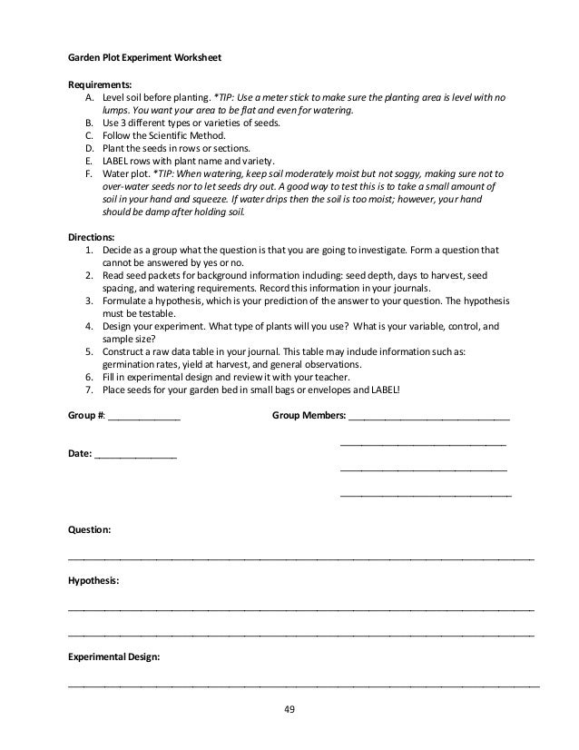 Food Coloring Flower Experiment Worksheet: Science fair made easy ...