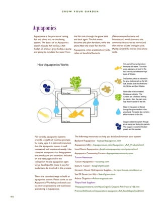 Aquaponics 
46 
Aquaponics is the process of raising fish and plants in a re-circulating system. The basics of an Aquaponics system include: fish tank(s), a fish feeder on a timer, grow bed(s), a pump and piping to circulate the water from 
the fish tank through the grow beds and back again. The fish waste becomes the plant fertilizer; while the plants filter the water for the fish. 
Aquaponics, when practiced correctly, relies on beneficial bacteria 
(Nitrosomonas bacteria and Nitrobacter) which converts the ammonia fish excrete to nitrite and then nitrate via the nitrogen cycle. Plants convert the nitrate into amino acids. 
GROW YOUR GARDEN 
For schools, aquaponics systems provide a wealth of teaching prompts for many ages. It is extremely important that the aquaponics system is well maintained and monitored weekly. Like compost, aquaponics is a living system that needs care and attention. Included on the next pages and in the companion file are aquaponics signs we’ve developed to make it easy for students to be involved in the process. 
There are countless ways to build an aquaponics system. Please come to our Aquaponics Workshop and reach out to other organizations and businesses specializing in Aquaponics. 
The following resources can help you build and maintain your system: 
Backyard Aquaponics—backyardaquaponics.com 
Aquaponics USA—Aquaponicsusa.com/Aquaponics_USA_Products.html 
Local Roots Aquaponics—localrootsaquaponics.com/systems.html 
Aquaponics Community Forum—Aquaponicscommunity.com 
Tucson Resources 
Tucson Aquaponics—tucsonap.com 
EcoGro Tucson—Ecogrohydro.com 
Growers House Hydroponics Supplies—Growershouse.com/about-us 
Sea Of Green (on 4th)—Sea-of-green.com 
Arbico Organics—Arbico-organics.com 
Tilapia Feed Suppliers 
Theaquaponicstore.com/AquaOrganic-Organic-Fish-Food-s/126.htm 
Premiumfishfood.com/aquaculture-aquaponics-fish-food/tilapia-food.html  