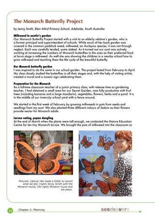 24 
Chapter 2: Planning 
The Monarch Butterfly Project 
by Jenny Smith, Blair Athol Primary School, Adelaide, South Australia 
Milkweed in auntieʼs garden 
Our Monarch Butterfly Project started with a visit to an elderly relativeʼs garden, who is a former principal and superintendent of schools. While much of her back garden was covered in the common paddock weed, milkweed, an Asclepias species, it was not through neglect. Each was carefully tended, some staked. As it turned out our aunt was actively working at increasing the numbers of Monarch butterflies in the area as their preferred food at larva stage is milkweed. As well she was showing the children in a nearby school how to grow milkweed and teaching them the life cycle of the beautiful butterfly. 
Our Monarch butterfly garden 
I was inspired to do the same in our school garden. The project lasted from February to April. My class closely studied the butterflies in all their stages and, with the help of visiting artists, created a mural and a mosaic sign celebrating them. 
Preparation for the Monarch 
As a full-time classroom teacher of a junior primary class, with release time as gardening teacher, I had obtained a small area for our Secret Garden, now fully productive with fruit trees (including bananas and a large mandarin), vegetables, flowers, herbs and a pond. It is in the middle of our inner-city school yard with a fence around. 
We started in the first week of February by growing milkweeds in pots from seeds and seedlings from my aunt. We also planted three different colours of Sedum as their flowers provide nectar for Monarch adults. 
Larvae eating, pupae dangling 
At the end of March when the plants were tall enough, we contacted the Nature Education Centre for ten tiny Monarch larvae. We brought the pots of milkweed into the classroom so 
Pictured: (above) We made a folder to record what we did; (right) Jenny Smith with the Monarch mural; (far right) Monarch mural and tile piece.  