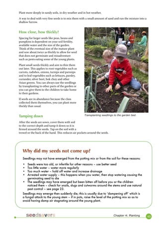 45 
Plant more deeply in sandy soils, in dry weather and in hot weather. 
A way to deal with very fine seeds is to mix them with a small amount of sand and run the mixture into a shallow furrow. 
How close, how thickly? 
Spacing for larger seeds like peas, beans and pumpkins is dependent on your soil fertility, available water and the size of the garden. Think of the eventual size of the mature plant and sow about twice as thickly to allow for seed that does not germinate and misadventure such as pests eating some of the young plants. 
Plant small seeds thickly and aim to thin them out later. This applies to root vegetables such as carrots, radishes, onions, turnips and parsnips and to leaf vegetables such as lettuces, parsley, coriander, silver beet, bok choy and other Asian greens. You can always use the seedlings by transplanting to other parts of the garden or you can give them to the children to take home to their gardens. 
If seeds are in abundance because the class collected them themselves, you can plant more thickly than usual. 
Tamping down 
After the seeds are sown, cover them with soil to the correct depth and tamp it down so it is firmed around the seeds. Tap on the soil with a trowel or the back of the hand. This reduces air pockets around the seeds. 
Why did my seeds not come up? 
Seedlings may not have emerged from the potting mix or from the soil for these reasons: 
• Seeds were too old, or infertile for other reasons – use better seed 
• Too little water – water more regularly 
• Too much water – hold off water and increase drainage 
• Arrested water supply – this happens when you water, then stop watering causing the germinating seed to die 
• The seedlings may have emerged but been bitten off before you or the children noticed them – check for snails, slugs and cutworms around the stems and use natural pest control – see page 23. 
Seedlings may emerge then suddenly die; this is usually due to ʻdampening offʼ which is a fungal attack to the young stem – if in pots, raise the level of the potting mix so as to avoid having damp air stagnating around the young plant. 
Chapter 4: Planting 
Transplanting seedlings to the garden bed.  