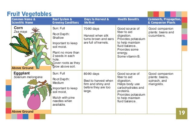 Student Pocket Guide for School Gardens Student Pocket Guide for School Gardens