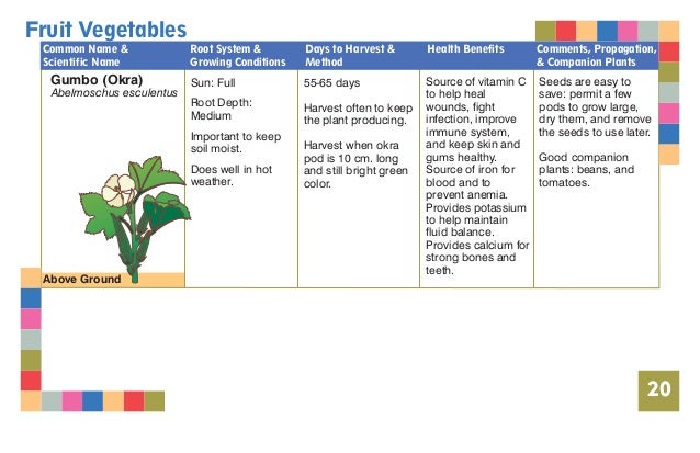Student Pocket Guide for School Gardens Student Pocket Guide for School Gardens