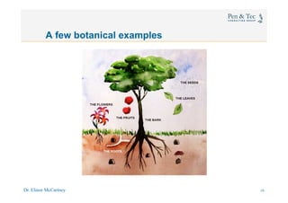 Dr. Elinor McCartney 38
A few botanical examples
44
 