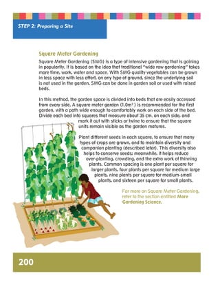 STEP 2: Preparing a Site 
200 
Square Meter Gardening 
Square Meter Gardening (SMG) is a type of intensive gardening that is gaining 
in popularity. It is based on the idea that traditional “wide row gardening” takes 
more time, work, water and space. With SMG quality vegetables can be grown 
in less space with less effort, on any type of ground, since the underlying soil 
is not used in the garden. SMG can be done in garden soil or used with raised 
beds. 
In this method, the garden space is divided into beds that are easily accessed 
from every side. A square meter garden (1.0m² ) is recommended for the first 
garden, with a path wide enough to comfortably work on each side of the bed. 
Divide each bed into squares that measure about 35 cm. on each side, and 
mark it out with sticks or twine to ensure that the square 
units remain visible as the garden matures. 
Plant different seeds in each square, to ensure that many 
types of crops are grown, and to maintain diversity and 
companion planting (described later). This diversity also 
helps to conserve seeds; meanwhile, it helps reduce 
over-planting, crowding, and the extra work of thinning 
plants. Common spacing is one plant per square for 
larger plants, four plants per square for medium large 
plants, nine plants per square for medium-small 
plants, and sixteen per square for small plants. 
For more on Square Meter Gardening, 
refer to the section entitled More 
Gardening Science. 
 