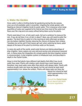 STEP 4: Tending the Garden 
217 
4. Water the Garden 
Since water is often a limiting factor for gardening during the dry season, 
wise use of all available water is essential. Irrigating the whole garden with 
flooding or channel irrigation tends to waste water. This is because when large 
quantities of water are supplied to the field at one time most of the water just 
flows over the crop and runs away without being taken up by the plants. 
Plants need about 3 cm. of rain each week. Set out a container to measure the 
rain. If you do not have 3 cm. of rain in about 7 days, you will need to water the 
garden. The best time to water is in the morning or early afternoon so leaves 
can dry before nightfall, thereby reducing the chance of disease from mildew. 
Tomatoes do not do well if their leaves get wet; when watering by hand, water 
deeply at the base of the plant to minimize water on the leaves. 
In many dry parts of the world, small-scale farmers are taking advantage of 
drip-irrigation. Some regions are very arid and receive only occasional seasonal 
rain. In these areas the integration of a simple gravity-fed drip irrigation system 
is recommended. A drip irrigation system is introduced next, and described in 
depth in the Pocket Guide. 
Keep in mind that plants have different root depths that affect how much 
water they need. Plants with shallow roots should have moist topsoil and, 
therefore, may need water more often than plants with deeper roots. Plants with 
medium-length roots can have dry topsoil, but the soil should be kept moist 
approximately 2 cm. below the surface. Plants with deep roots can have dry 
topsoil but should be kept 
moist approximately 4 cm. 
below the soil. 
Consult the Pocket Guide 
for an idea of root depth 
for some vegetables. 
 