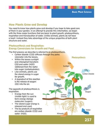 Basic Plant Science 
CO2 
Carbon Dioxide 
UV 
Oxygen 
Water 
H2O 
Minerals 
UV 
Sunlight 
Sunlight 
Oxygen 
Carbon 
Dioxide 
CO2 
O2 
O2 
257 
How Plants Grow and Develop 
You need to know how plants grow and develop if you hope to take good care 
of them in your garden. In an attempt to provide this information, we begin 
with the three major functions that are basic to plant growth: photosynthesis, 
respiration and translocation of water. Unlike animals, plants do not have 
a heart. Instead they take advantage of the unique properties of both plant 
structure and water. 
Photosynthesis and Respiration: 
Energy Conversions for Growth and Food 
The first process we describe is referred to as photosynthesis. 
• Carbon dioxide (CO2) diffuses through tiny pores 
(stomata) into the leaves. 
• Within the leaves sunlight 
and chlorophyll transform 
CO2 and water (H2O) 
(obtained from the roots) 
into sugar (carbohydrates). 
• Like animals, plants use 
the stored energy in sugar 
for growth. 
• A byproduct of this reaction 
is the release of oxygen 
(O2) into the air. 
The opposite of photosynthesis is 
respiration. 
• Energy from the sun 
(visible light) is used to 
form energy storage 
molecules (sugars). 
• The stored sugar energy is 
released and used. 
• The by-products of respiration 
are carbon dioxide (CO2) and 
water (H2O). 
Photosynthesis 
 