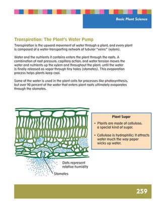 Basic Plant Science 
259 
Transpiration: The Plant’s Water Pump 
Transpiration is the upward movement of water through a plant, and every plant 
is composed of a water-transporting network of tubular “veins” (xylem). 
Water and the nutrients it contains enters the plant through the roots. A 
combination of root pressure, capillary action, and water tension moves the 
water and nutrients up the xylem and throughout the plant, until the water 
is finally released as vapor through tiny holes (stomates). This evaporation 
process helps plants keep cool. 
Some of the water is used in the plant cells for processes like photosynthesis, 
but over 90 percent of the water that enters plant roots ultimately evaporates 
through the stomates. 
Dots represent 
relative humidity 
Stomates 
Plant Sugar 
• Plants are made of cellulose, 
a special kind of sugar. 
• Cellulose is hydrophilic; it attracts 
water much the way paper 
wicks up water. 
 