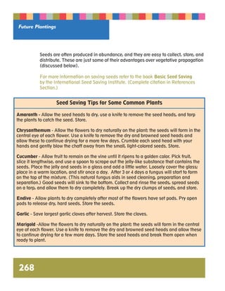 Future Plantings 
268 
Seeds are often produced in abundance, and they are easy to collect, store, and 
distribute. These are just some of their advantages over vegetative propagation 
(discussed below). 
For more information on saving seeds refer to the book Basic Seed Saving 
by the International Seed Saving Institute. (Complete citation in References 
Section.) 
Seed Saving Tips for Some Common Plants 
Amaranth - Allow the seed heads to dry, use a knife to remove the seed heads, and tarp 
the plants to catch the seed. Store. 
Chrysanthemum - Allow the flowers to dry naturally on the plant; the seeds will form in the 
central eye of each flower. Use a knife to remove the dry and browned seed heads and 
allow these to continue drying for a more few days. Crumble each seed head with your 
hands and gently blow the chaff away from the small, light-colored seeds. Store. 
Cucumber - Allow fruit to remain on the vine until it ripens to a golden color. Pick fruit, 
slice it lengthwise, and use a spoon to scrape out the jelly-like substance that contains the 
seeds. Place the jelly and seeds in a glass and add a little water. Loosely cover the glass; 
place in a warm location, and stir once a day. After 3 or 4 days a fungus will start to form 
on the top of the mixture. (This natural fungus aids in seed cleaning, preparation and 
separation.) Good seeds will sink to the bottom. Collect and rinse the seeds, spread seeds 
on a tarp, and allow them to dry completely. Break up the dry clumps of seeds, and store. 
Endive - Allow plants to dry completely after most of the flowers have set pods. Pry open 
pods to release dry, hard seeds. Store the seeds. 
Garlic - Save largest garlic cloves after harvest. Store the cloves. 
Marigold -Allow the flowers to dry naturally on the plant; the seeds will form in the central 
eye of each flower. Use a knife to remove the dry and browned seed heads and allow these 
to continue drying for a few more days. Store the seed heads and break them open when 
ready to plant. 
 