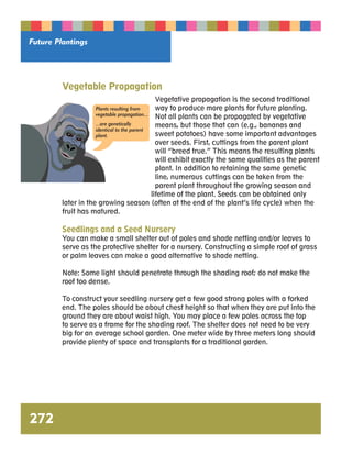 Future Plantings 
Vegetable Propagation 
Vegetative propagation is the second traditional 
way to produce more plants for future planting. 
Not all plants can be propagated by vegetative 
means, but those that can (e.g., bananas and 
sweet potatoes) have some important advantages 
over seeds. First, cuttings from the parent plant 
will “breed true.” This means the resulting plants 
will exhibit exactly the same qualities as the parent 
plant. In addition to retaining the same genetic 
line, numerous cuttings can be taken from the 
parent plant throughout the growing season and 
lifetime of the plant. Seeds can be obtained only 
Plants resulting from 
vegetable propagation... 
...are genetically 
identical to the parent 
plant. 
later in the growing season (often at the end of the plant’s life cycle) when the 
fruit has matured. 
272 
Seedlings and a Seed Nursery 
You can make a small shelter out of poles and shade netting and/or leaves to 
serve as the protective shelter for a nursery. Constructing a simple roof of grass 
or palm leaves can make a good alternative to shade netting. 
Note: Some light should penetrate through the shading roof; do not make the 
roof too dense. 
To construct your seedling nursery get a few good strong poles with a forked 
end. The poles should be about chest height so that when they are put into the 
ground they are about waist high. You may place a few poles across the top 
to serve as a frame for the shading roof. The shelter does not need to be very 
big for an average school garden. One meter wide by three meters long should 
provide plenty of space and transplants for a traditional garden. 
 