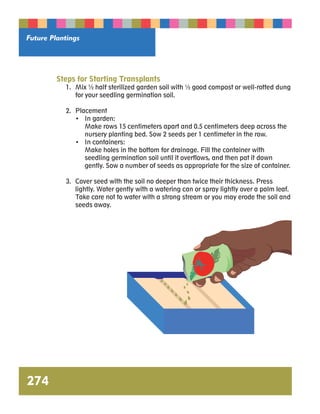 Future Plantings 
274 
Steps for Starting Transplants 
1. Mix ½ half sterilized garden soil with ½ good compost or well-rotted dung 
for your seedling germination soil. 
2. Placement 
• In garden: 
Make rows 15 centimeters apart and 0.5 centimeters deep across the 
nursery planting bed. Sow 2 seeds per 1 centimeter in the row. 
• In containers: 
Make holes in the bottom for drainage. Fill the container with 
seedling germination soil until it overflows, and then pat it down 
gently. Sow a number of seeds as appropriate for the size of container. 
3. Cover seed with the soil no deeper than twice their thickness. Press 
lightly. Water gently with a watering can or spray lightly over a palm leaf. 
Take care not to water with a strong stream or you may erode the soil and 
seeds away. 
 