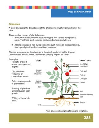 Weed and Pest Control 
285 
Diseases 
A plant disease is the disturbance of the physiology, structure or function of the 
plant. 
There are two causes of plant diseases. 
1. Biotic causes involve infectious pathogens that spread from plant to 
plant. The three most common are fungi, bacteria and viruses. 
2. Abiotic causes are non-living; including such things as excess moisture, 
shortage of plant nutrients and heat extremes. 
Disease symptoms are the changes in the plant produced by the disease. 
Usually these are discolored, malformed or dying regions on plants. 
Examples: 
Necrotic or dead 
areas: rots, spots and 
blights. 
Discoloration-yellowing 
or 
chlorosis of leaves. 
Galls are overgrowth 
of plant tissue. 
Stunting of plants or 
general overall poor 
growth. 
Wilting of the whole 
plant. 
Plant Diseases: Examples of signs and symptoms. 
SIGNS 
Fungal 
fruiting 
structures 
Mycelia 
(mildew) 
Ooze 
Cysts 
SYMPTOMS 
Shoot blight 
Leaf blight 
Fruit spot 
Fruit rot 
Leaf spots 
Canker 
Wilt 
Vascular streaking 
Gall 
Root rot 
 