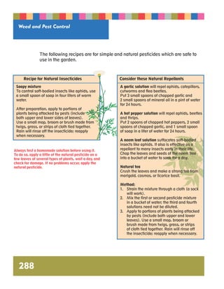 Weed and Pest Control 
Recipe for Natural Insecticides Consider these Natural Repellants 
288 
The following recipes are for simple and natural pesticides which are safe to 
use in the garden. 
Soapy mixture 
To control soft-bodied insects like aphids, use 
a small spoon of soap in four liters of warm 
water. 
After preparation, apply to portions of 
plants being attacked by pests (include 
both upper and lower sides of leaves). 
Use a small mop, broom or brush made from 
twigs, grass, or strips of cloth tied together. 
Rain will rinse off the insecticide; reapply 
when necessary. 
Always test a homemade solution before using it. 
To do so, apply a little of the natural pesticide on a 
few leaves of several types of plants, wait a day, and 
check for damage. If no problems occur, apply the 
natural pesticide. 
A garlic solution will repel aphids, catepillars, 
cutworms and flea beetles. 
Put 3 small spoons of chopped garlic and 
2 small spoons of mineral oil in a pint of water 
for 24 hours. 
A hot pepper solution will repel aphids, beetles 
and thrips. 
Put 2 spoons of chopped hot peppers, 2 small 
spoons of chopped garlic, and 1 small spoon 
of soap in a liter of water for 24 hours. 
A neem leaf solution suffocates soft-bodied 
insects like aphids. It also is effective as a 
repellant to many insects early in their life. 
Chop the leaves and seeds of the neem tree 
into a bucket of water to soak for a day. 
Natural tea 
Crush the leaves and make a strong tea from 
marigold, cosmos, or licorice basil. 
Method: 
1. Strain the mixture through a cloth (a sock 
will work). 
2. Mix the first or second pesticide mixture 
in a bucket of water; the third and fourth 
solutions need not be diluted. 
3. Apply to portions of plants being attacked 
by pests (include both upper and lower 
leaves). Use a small mop, broom or 
brush made from twigs, grass, or strips 
of cloth tied together. Rain will rinse off 
the insecticide; reapply when necessary. 
 