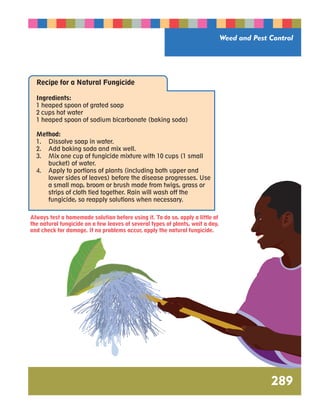 Weed and Pest Control 
289 
Recipe for a Natural Fungicide 
Ingredients: 
1 heaped spoon of grated soap 
2 cups hot water 
1 heaped spoon of sodium bicarbonate (baking soda) 
Method: 
1. Dissolve soap in water. 
2. Add baking soda and mix well. 
3. Mix one cup of fungicide mixture with 10 cups (1 small 
bucket) of water. 
4. Apply to portions of plants (including both upper and 
lower sides of leaves) before the disease progresses. Use 
a small mop, broom or brush made from twigs, grass or 
strips of cloth tied together. Rain will wash off the 
fungicide, so reapply solutions when necessary. 
Always test a homemade solution before using it. To do so, apply a little of 
the natural fungicide on a few leaves of several types of plants, wait a day, 
and check for damage. If no problems occur, apply the natural fungicide. 
 
