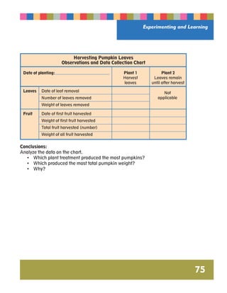 Experimenting and Learning 
75 
Harvesting Pumpkin Leaves 
Observations and Data Collection Chart 
Date of planting: 
Leaves Date of leaf removal 
Number of leaves removed 
Weight of leaves removed 
Plant 1 
Harvest 
leaves 
Plant 2 
Leaves remain 
until after harvest 
Not 
applicable 
Fruit Date of first fruit harvested 
Weight of first fruit harvested 
Total fruit harvested (number) 
Weight of all fruit harvested 
Conclusions: 
Analyze the data on the chart. 
• Which plant treatment produced the most pumpkins? 
• Which produced the most total pumpkin weight? 
• Why? 
 
