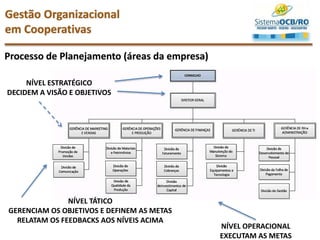 Processo de Planejamento (áreas da empresa)
NÍVEL ESTRATÉGICO
DECIDEM A VISÃO E OBJETIVOS
NÍVEL TÁTICO
GERENCIAM OS OBJETIVOS E DEFINEM AS METAS
RELATAM OS FEEDBACKS AOS NÍVEIS ACIMA
NÍVEL OPERACIONAL
EXECUTAM AS METAS
Gestão Organizacional
em Cooperativas
 