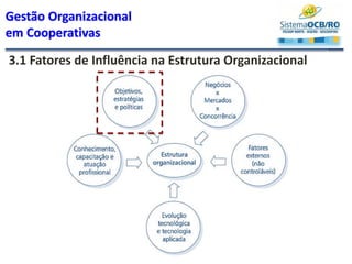 Gestão Organizacional
em Cooperativas
3.1 Fatores de Influência na Estrutura Organizacional
 