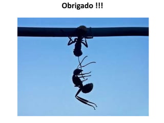 Obrigado !!!
 