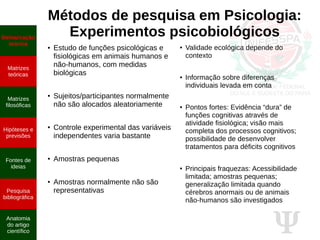 Ψ
Métodos de pesquisa em Psicologia:
Experimentos psicobiológicos
● Estudo de funções psicológicas e
fisiológicas em animais humanos e
não-humanos, com medidas
biológicas
● Sujeitos/participantes normalmente
não são alocados aleatoriamente
● Controle experimental das variáveis
independentes varia bastante
●
Amostras pequenas
● Amostras normalmente não são
representativas
● Validade ecológica depende do
contexto
● Informação sobre diferenças
individuais levada em conta
● Pontos fortes: Evidência “dura” de
funções cognitivas através de
atividade fisiológica; visão mais
completa dos processos cognitivos;
possibilidade de desenvolver
tratamentos para déficits cognitivos
● Principais fraquezas: Acessibilidade
limitada; amostras pequenas;
generalização limitada quando
cérebros anormais ou de animais
não-humanos são investigados
Demarcação
teórica
Matrizes
teóricas
Matrizes
filosóficas
Hipóteses e
previsões
Fontes de
ideias
Pesquisa
bibliográfica
Anatomia
do artigo
científico
 