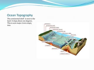 Ocean TopographyThe continental shelf  is next to the land. It slops about one degrees. This is were major rivers empty into. 