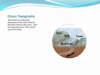 Ocean TopographyThe trench is a really deep depression in the ocean which is basically a ditch in the ocean.  They are long and narrow. They can be 34,000 feet deep. 