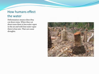 How humans effect the waterDeforestation means when they cut down trees. When they cut down trees there is less water vapor in the air and with less water vapor there is less rain. That can cause droughts. 