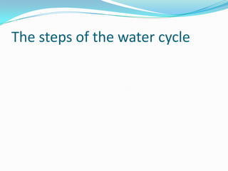 The steps of the water cycle