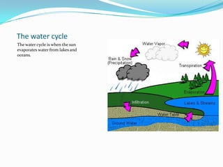 The water cycleThe water cycle is when the sun  evaporates water from lakes and oceans.