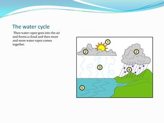 The water cycle Then water vapor goes into the air and forms a cloud and then more and more water vapor comes together.